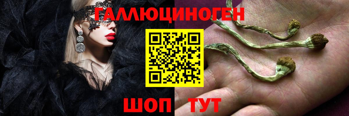 Псилоцибиновые грибы GOLDEN TEACHER  Вход с VPN  Сорочинск 